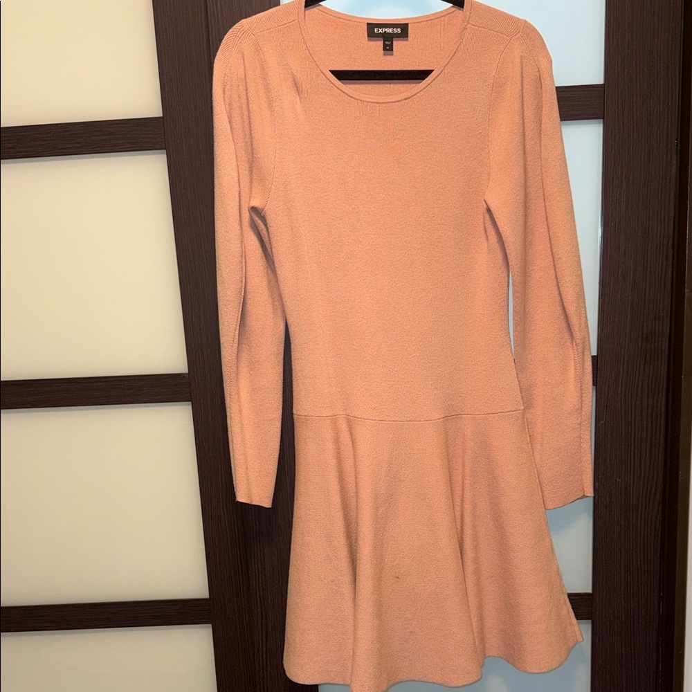 Express Blush Long Sleeve Mini Dress - Picture 6 of 7